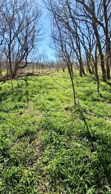 0 Bradshaw Road Austin, TX 78747 - Photo 5 of 12 View of yard