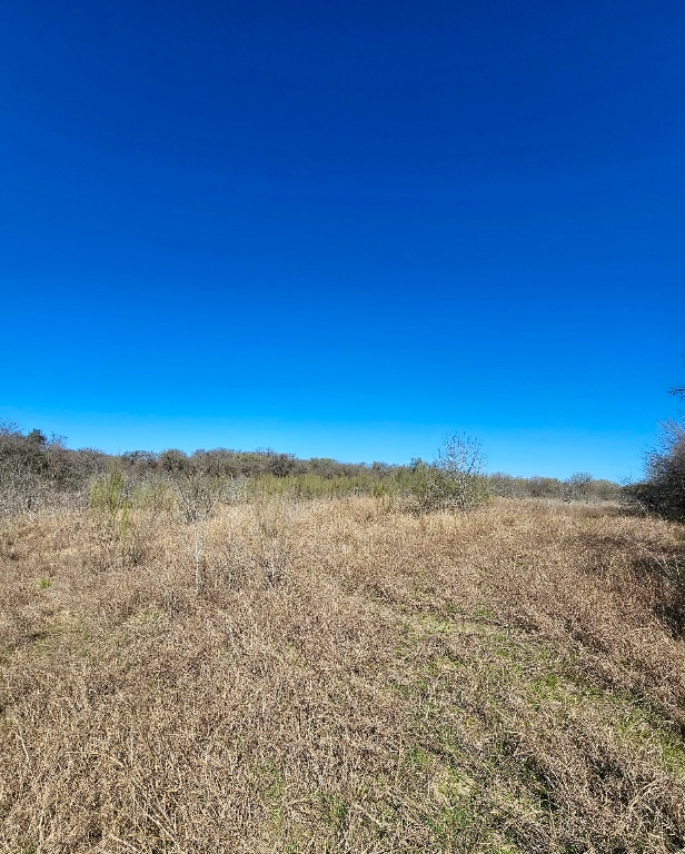 0 Bradshaw Road Austin, TX 78747 - Photo 6 of 12 View of local wilderness with a rural view