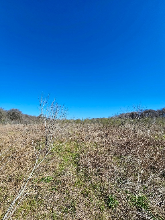 0 Bradshaw Road Austin, TX 78747 - Photo 8 of 12 View of local wilderness featuring a rural view