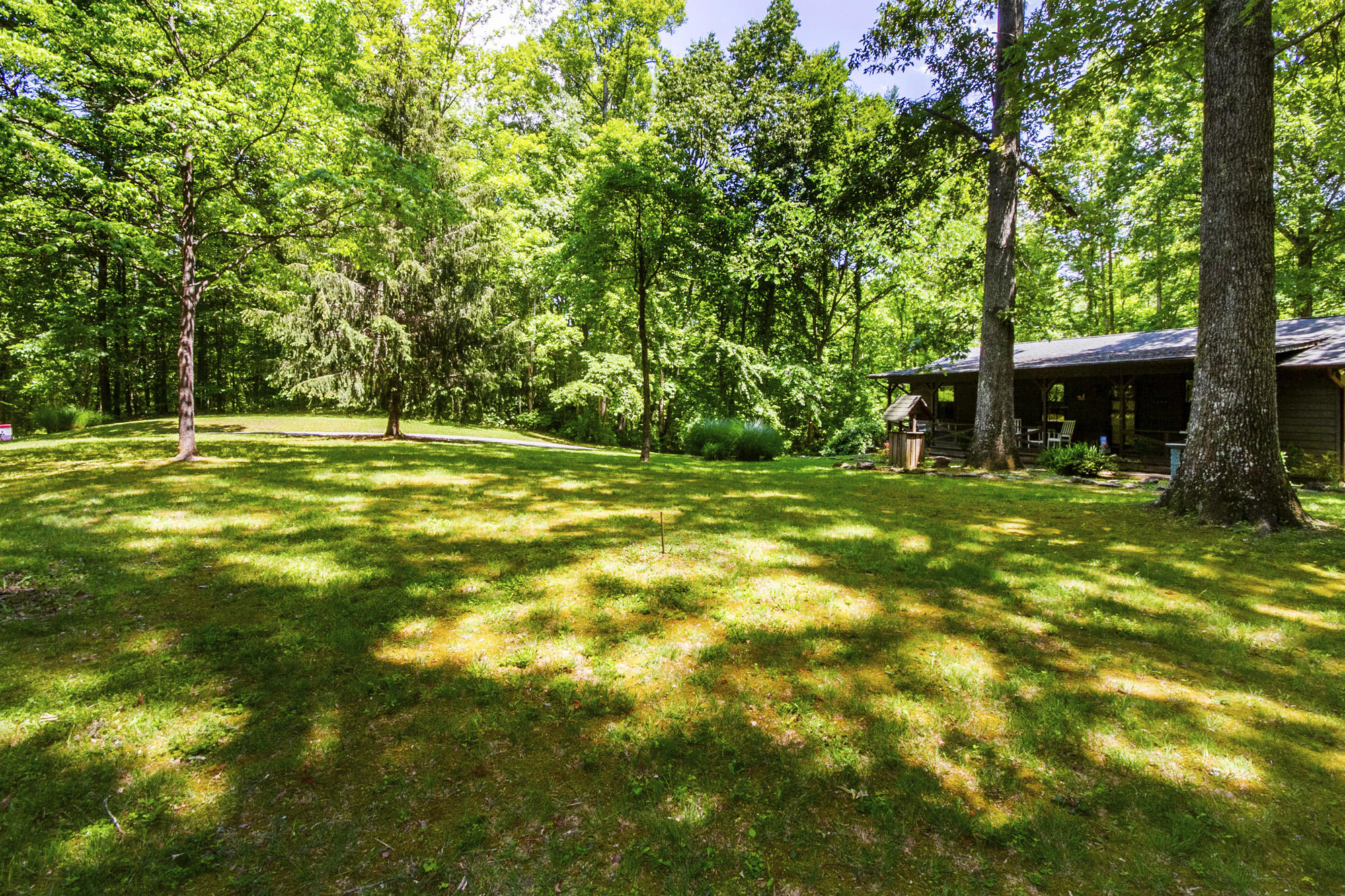 127 Fern Road Maynardville, TN 37807 - Photo 3 of 38 IMG_0024