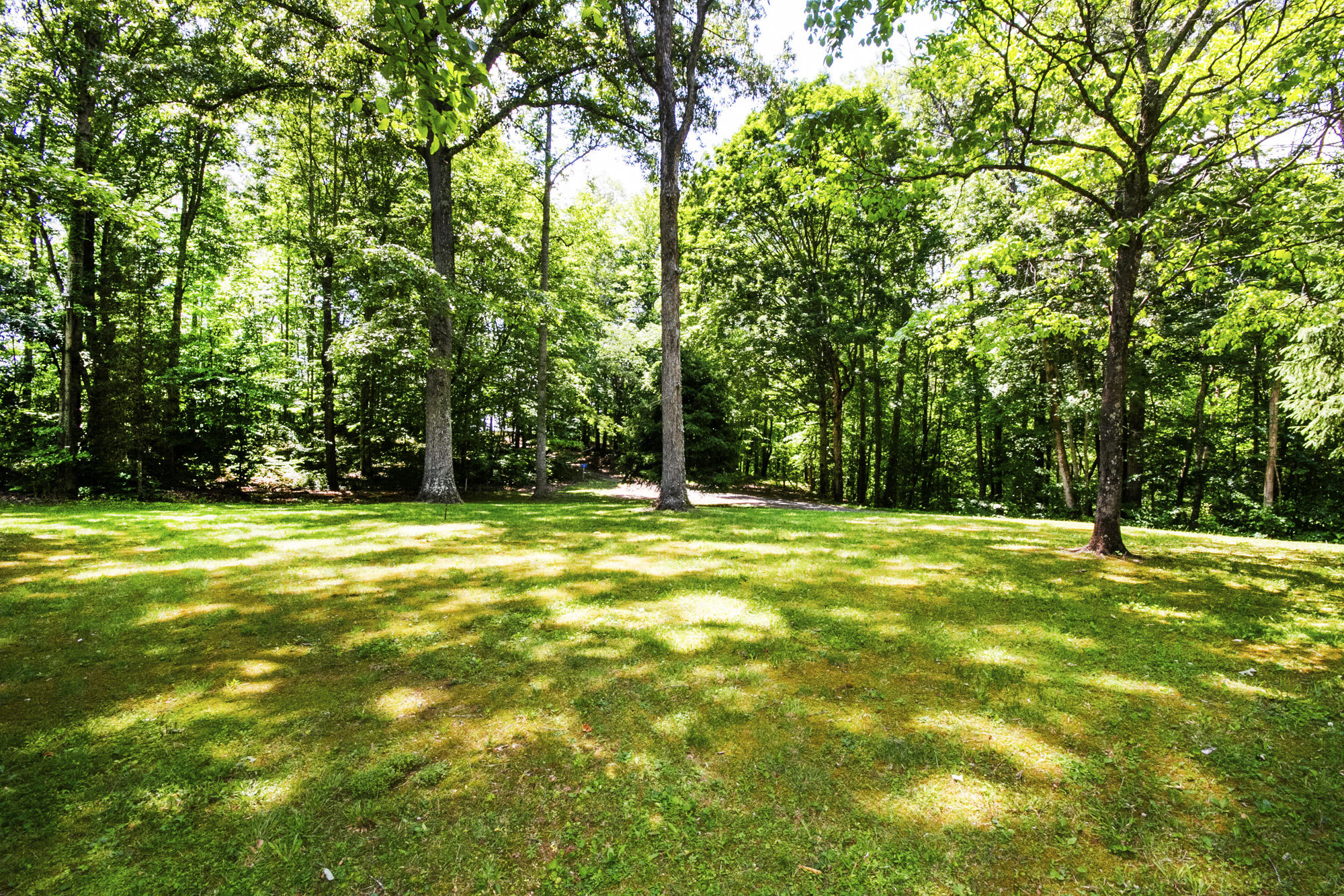 127 Fern Road Maynardville, TN 37807 - Photo 38 of 38 IMG_0084