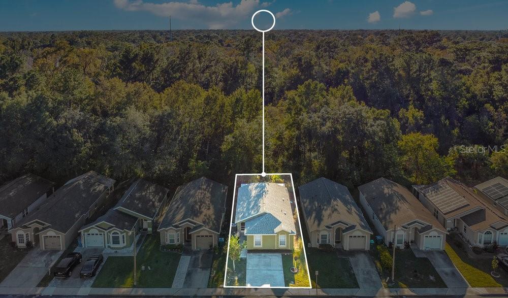 114 Sundance Court Winter Springs, FL 32708 - Photo 27 of 34 a picture of a yard