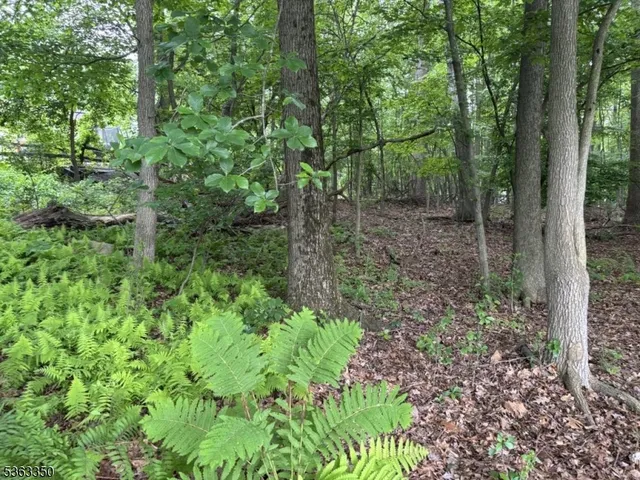 $67,000 | 0 Oakwood Avenue, West Milford, NJ 07480