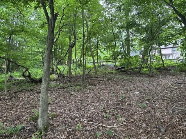 $67,000 | 0 Oakwood Avenue, West Milford, NJ 07480