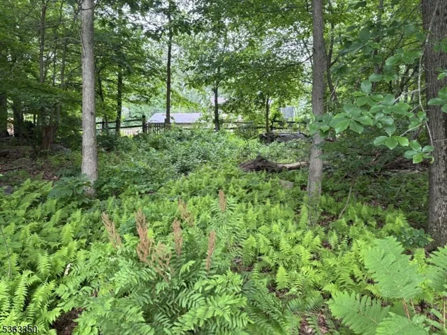 $67,000 | 0 Oakwood Avenue, West Milford, NJ 07480