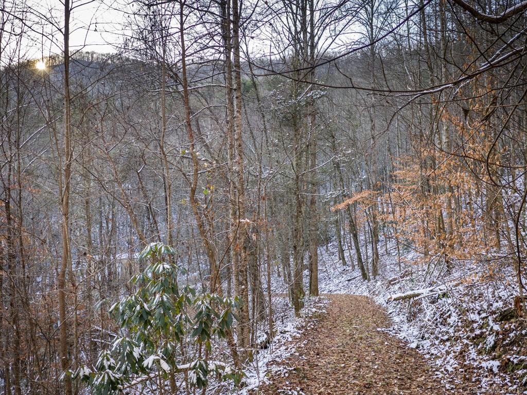 746 Jess Cove Road Clyde, NC 28721 - Photo 8 of 21
