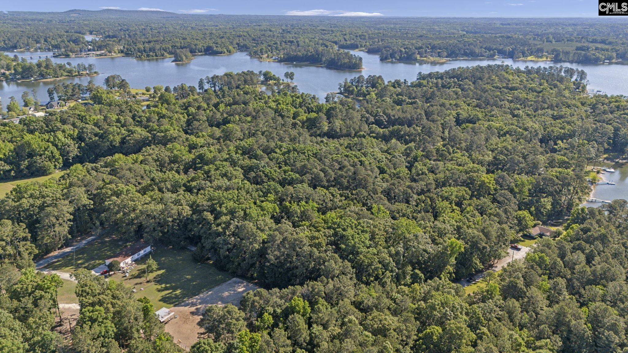 0 Lominack Road Prosperity, SC 29127 - Photo 10 of 19
