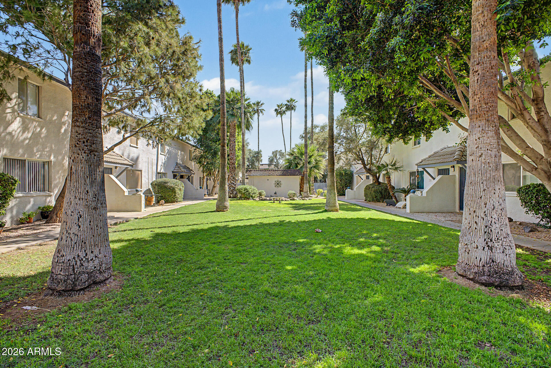 1531 West Colter Street, Unit 1 Phoenix, AZ 85015 - Photo 17 of 22 a view of a garden with a tree