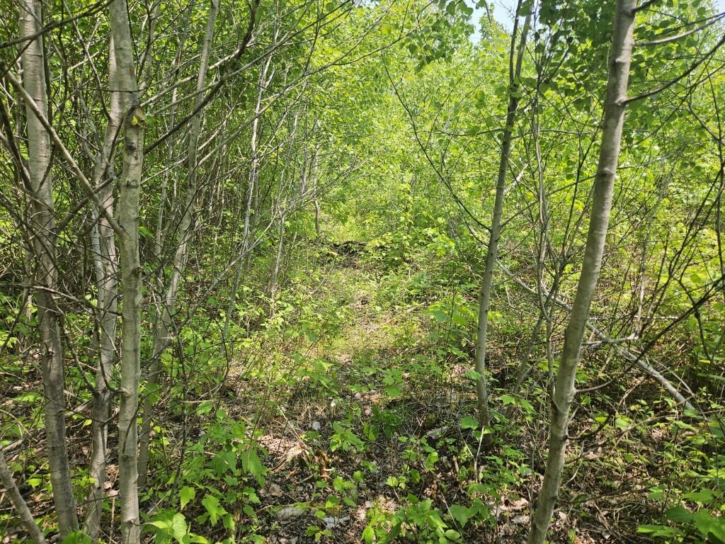 2016 Hudson Road Hudson, ME 04449 - Photo 5 of 36