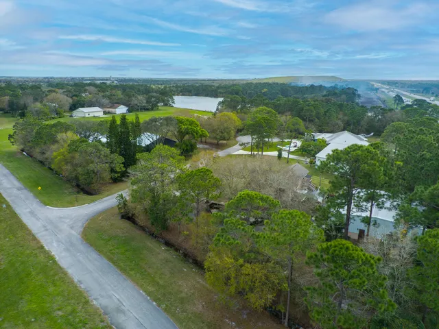 a aerial view of a house with swimming pool and large trees