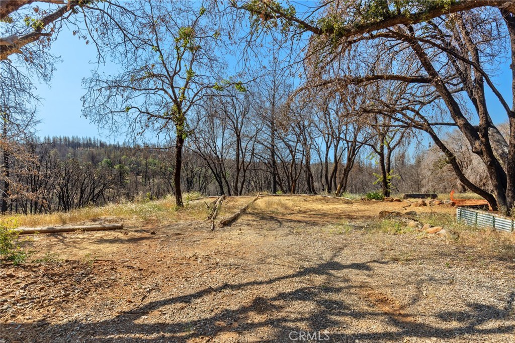 105 Harvey Road Chico, CA 95973 - Photo 2 of 16 a view of a yard with snow on the road