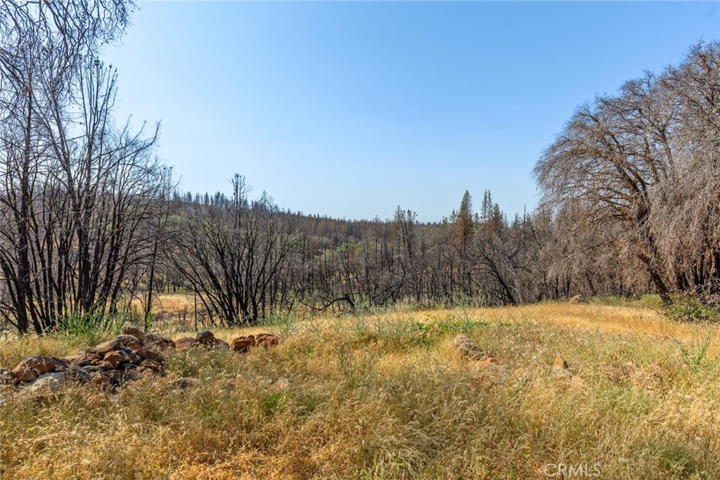 105 Harvey Road Chico, CA 95973 - Photo 5 of 16 a view of a yard with a tree