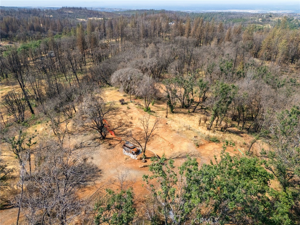 105 Harvey Road Chico, CA 95973 - Photo 6 of 16 a view of a yard with a tree