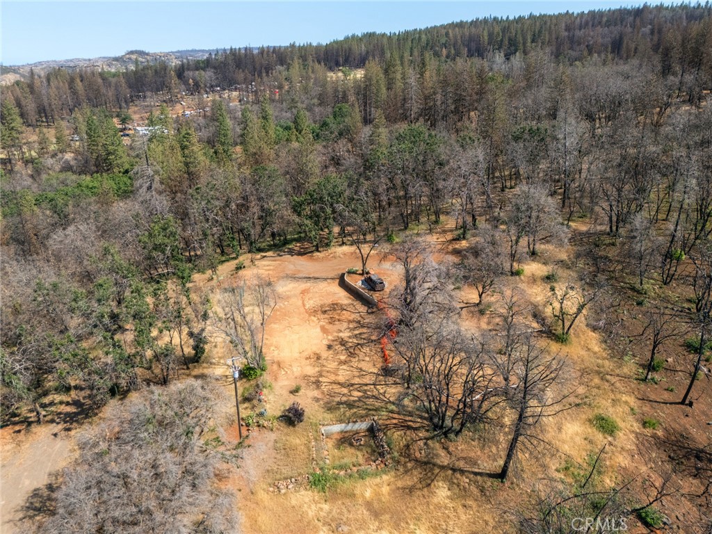 105 Harvey Road Chico, CA 95973 - Photo 8 of 16 a view of a forest with a tree in the background