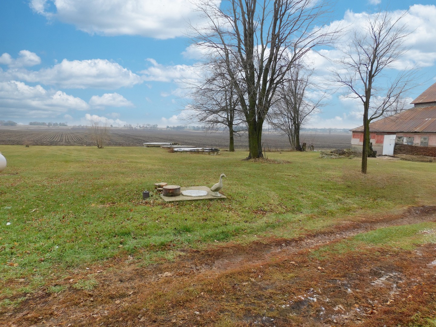 10797 West Fairmont Road Polo, IL 61064 - Photo 25 of 30 a view of a field with an trees