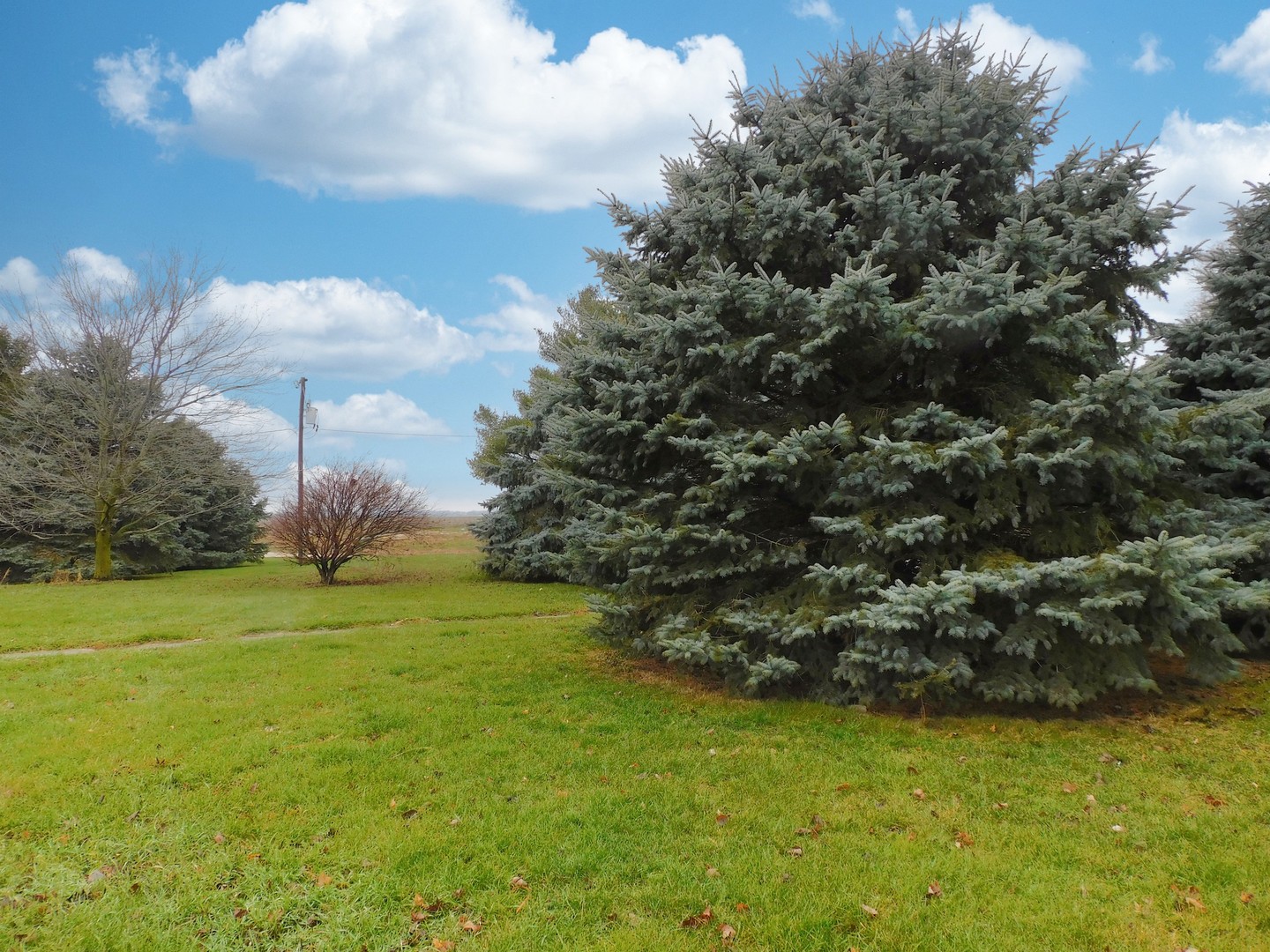 10797 West Fairmont Road Polo, IL 61064 - Photo 28 of 30 a yard with a house in the background