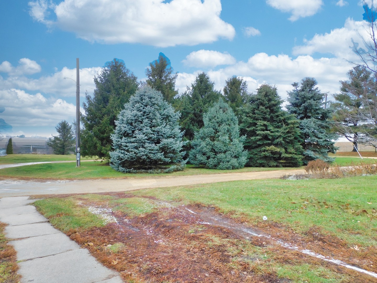 10797 West Fairmont Road Polo, IL 61064 - Photo 29 of 30 a view of a yard with large trees
