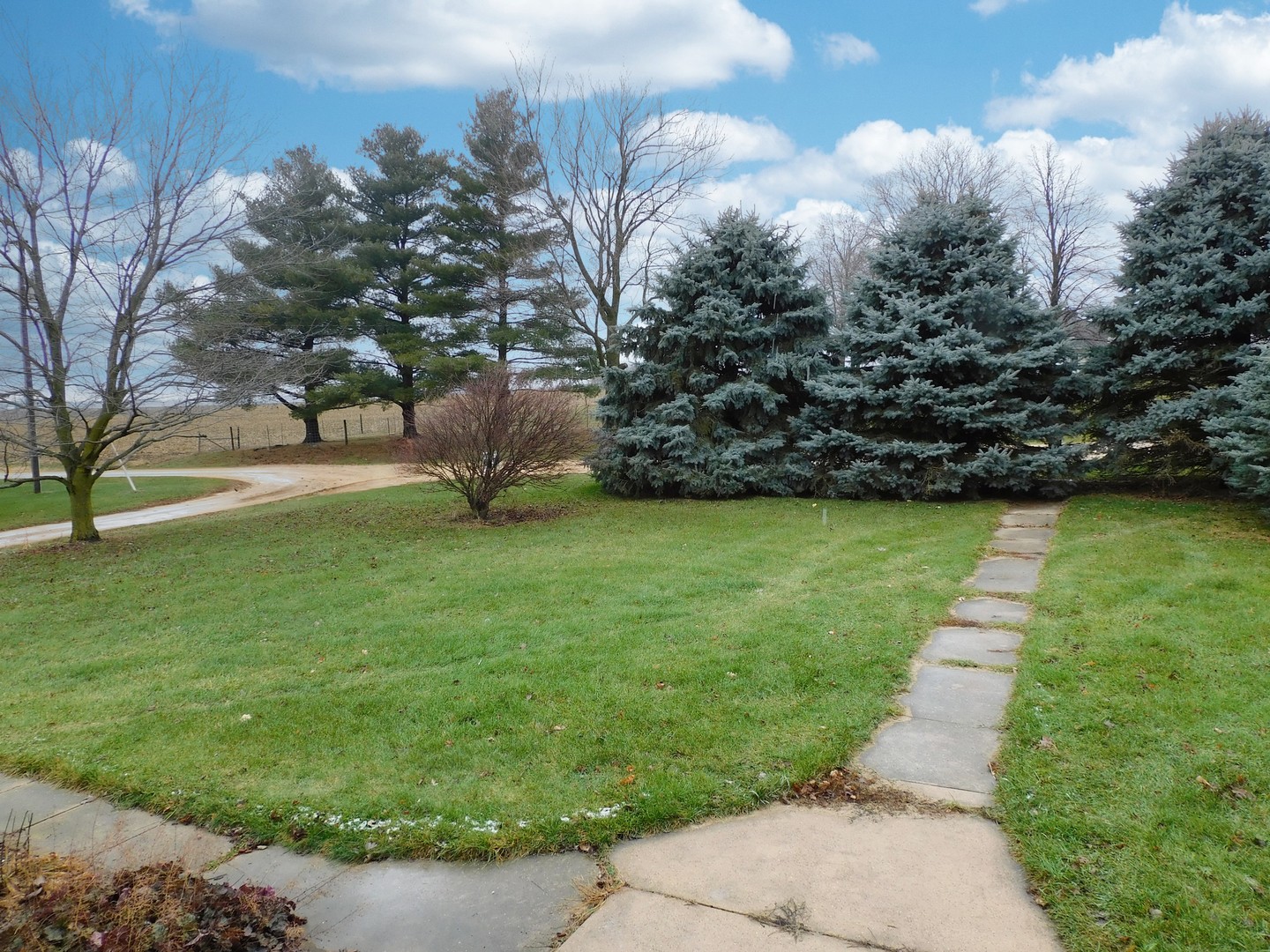 10797 West Fairmont Road Polo, IL 61064 - Photo 3 of 30 a view of a park with large trees