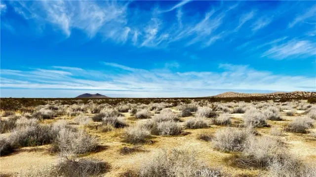 a view of a dry yard with wooden fence