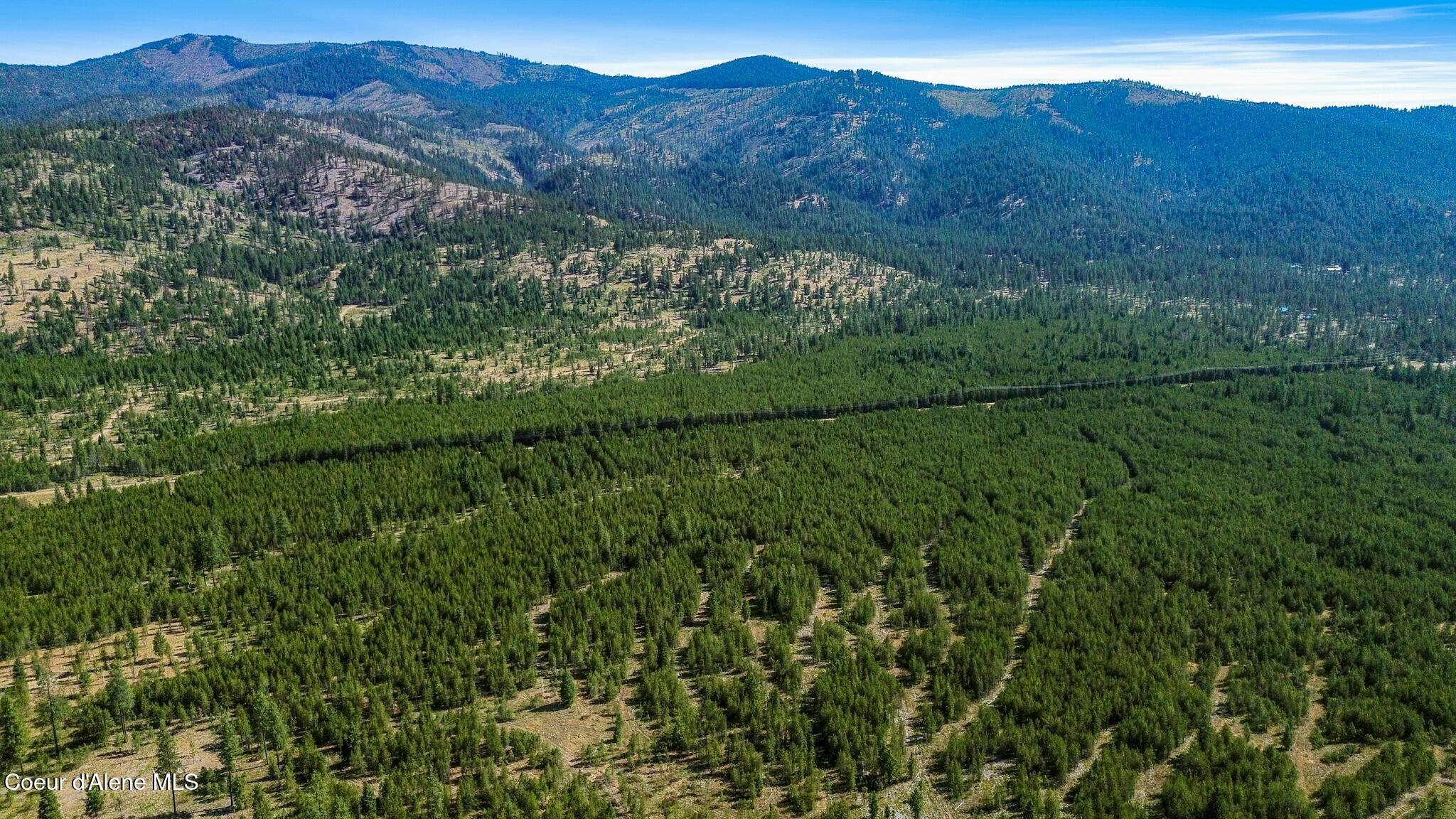 Nka Rogstad Powerline Road Blanchard, ID 83804 - Photo 5 of 11 85333200