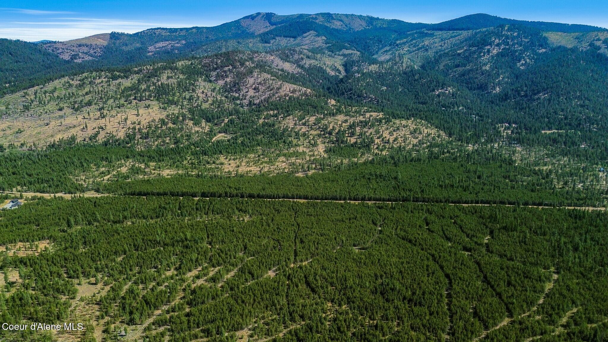 Nka Rogstad Powerline Road Blanchard, ID 83804 - Photo 6 of 11 85333201