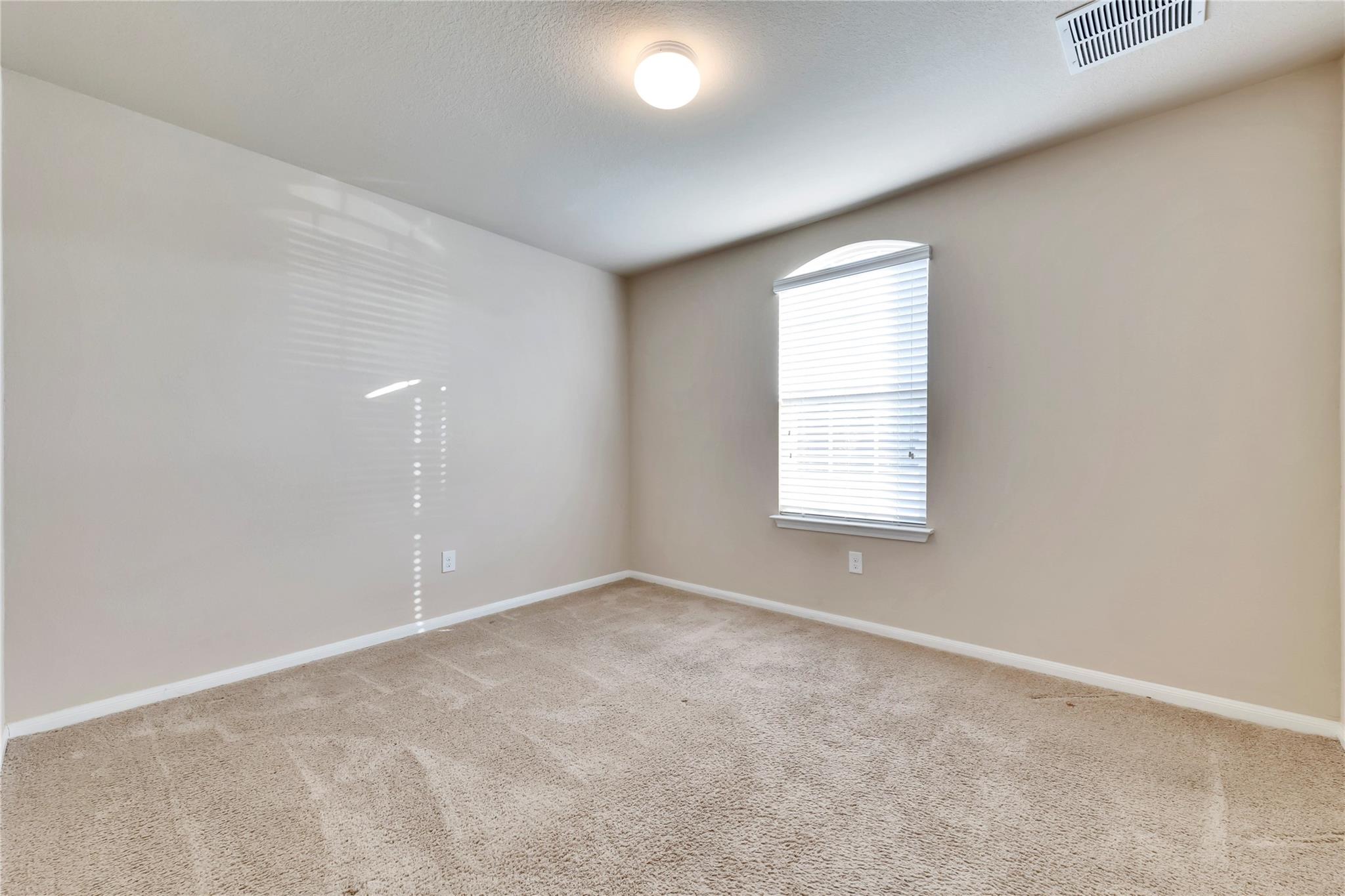 5913 Diamondleaf Bend Austin, TX 78724 - Photo 7 of 20 Carpeted room featuring a single arched window with blinds, neutral wall tones, white baseboards, and a ceiling light fixture