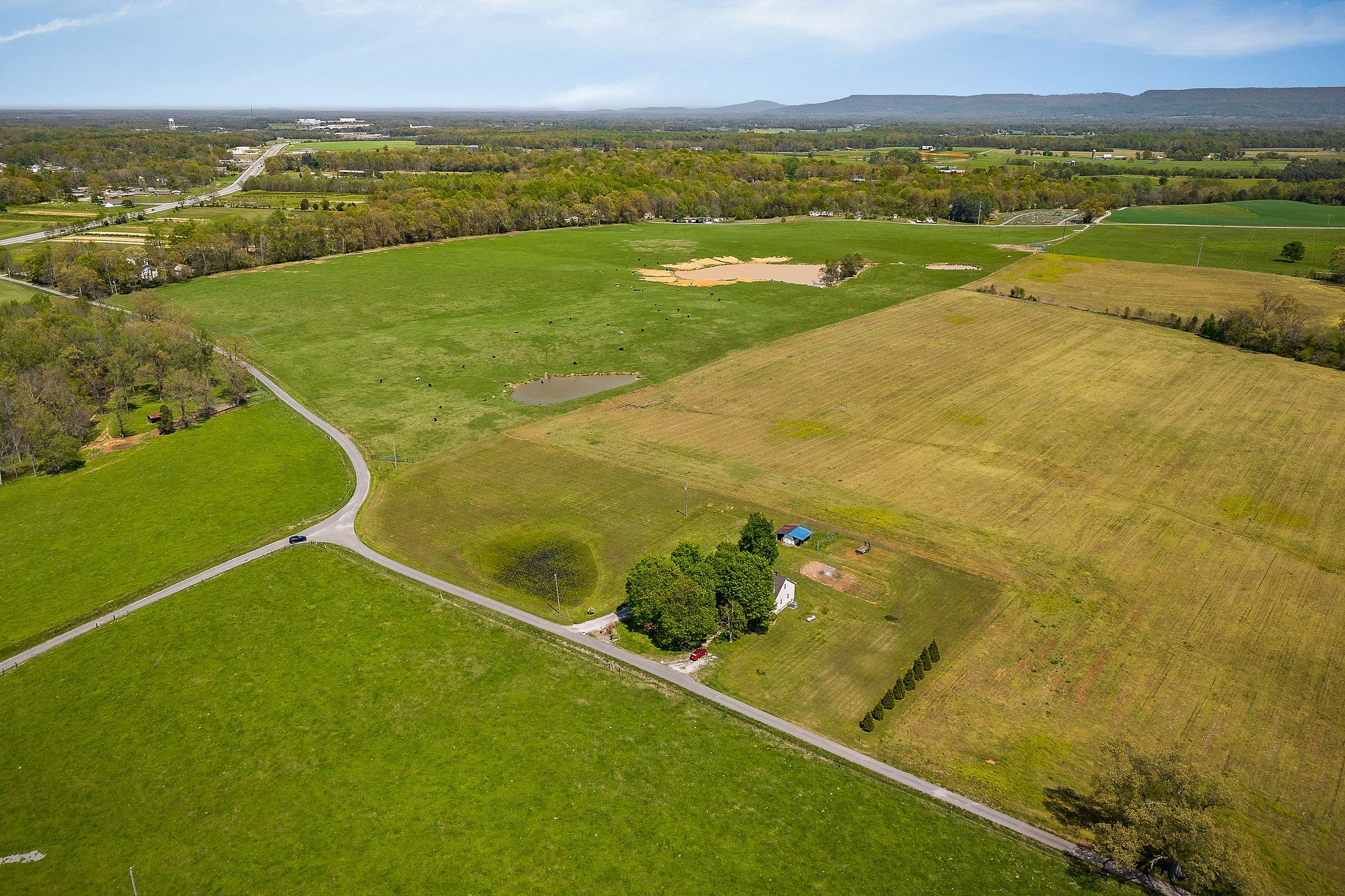 77 McAfee Lane Morrison, TN 37357 - Photo 29 of 39 a view of outdoor space and yard