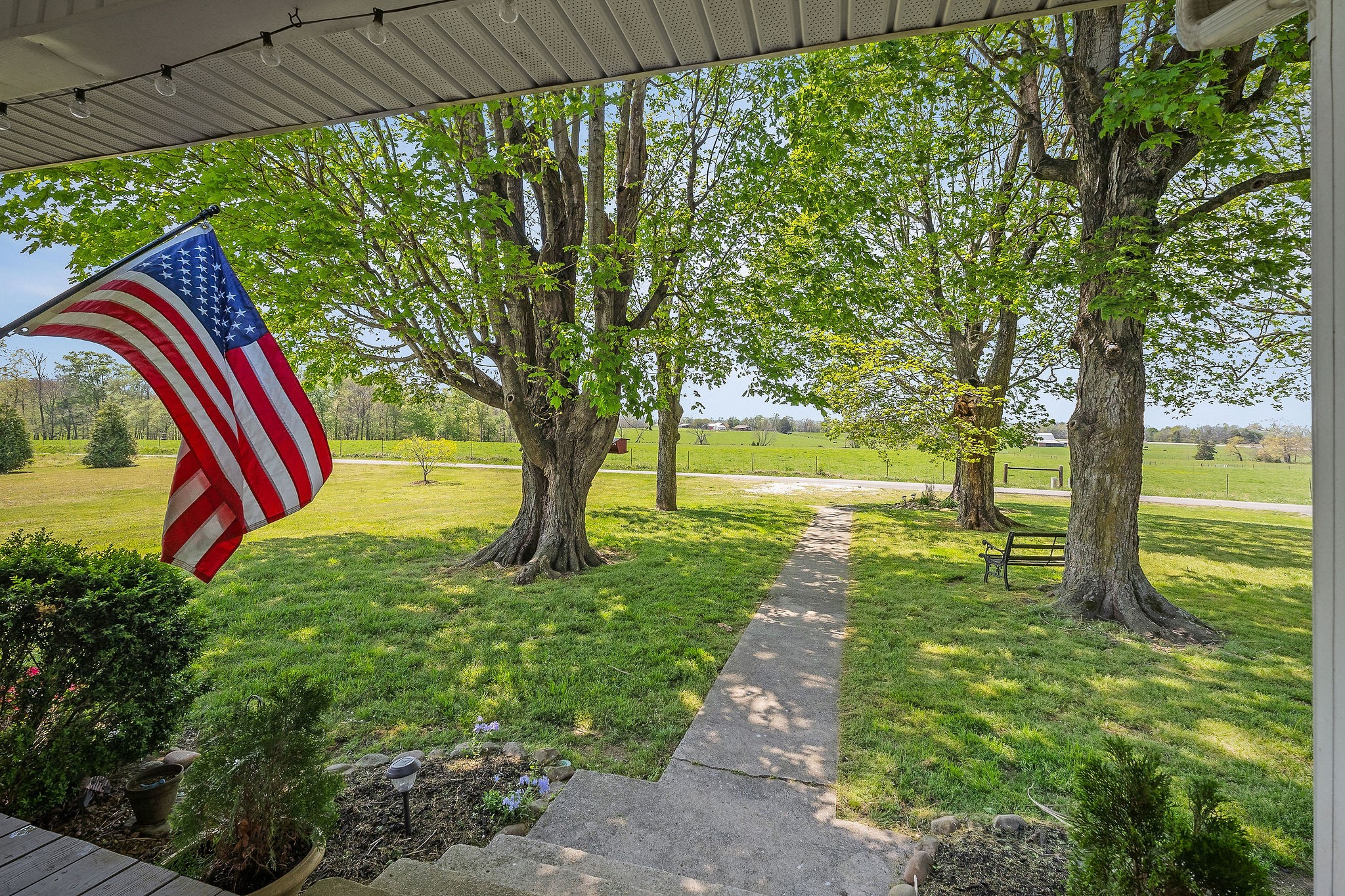77 McAfee Lane Morrison, TN 37357 - Photo 6 of 39 a view of a garden with a tree