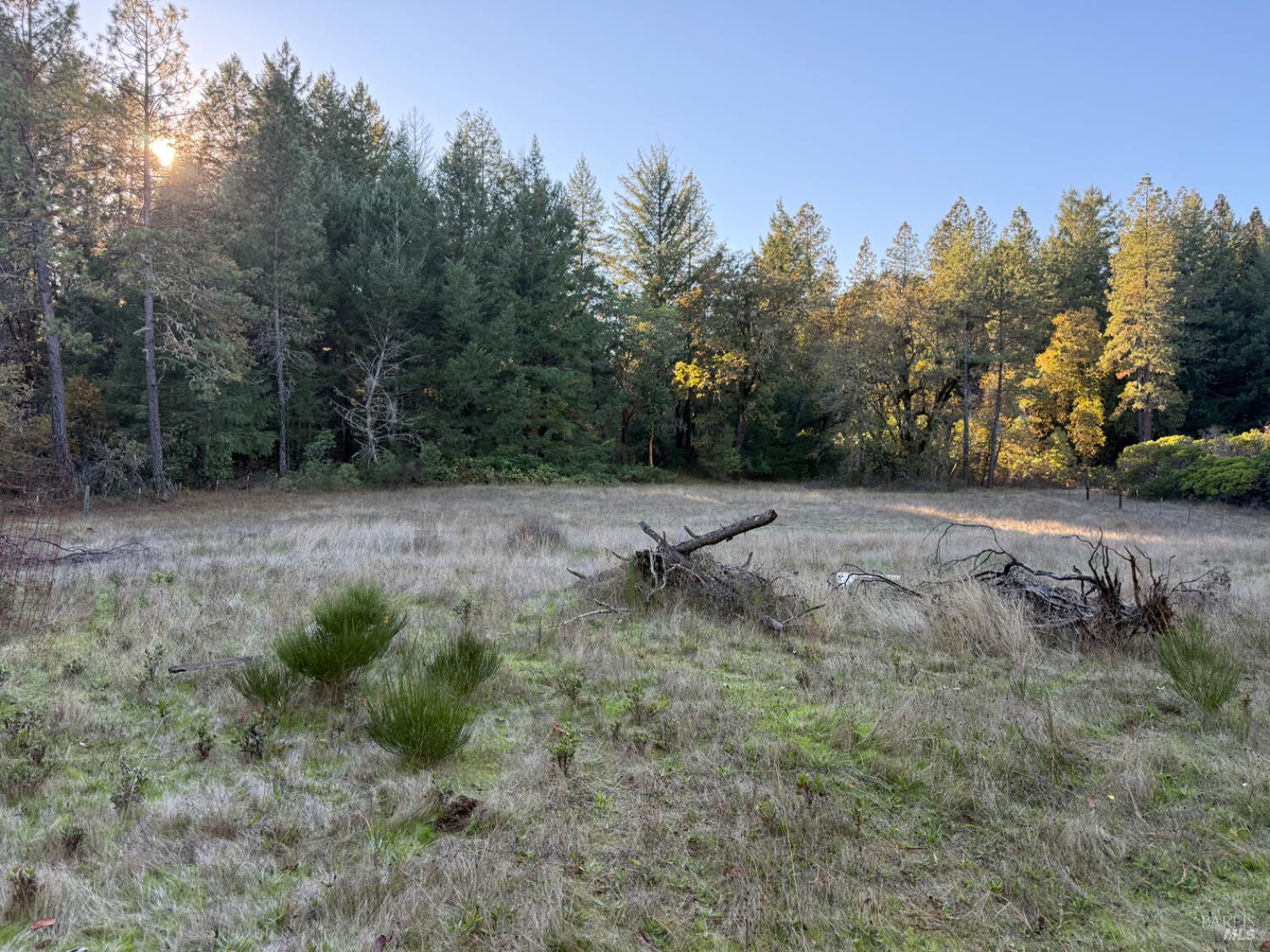 770 Branscomb Road Laytonville, CA 95454 - Photo 31 of 42 a view of a dry field with trees in the background