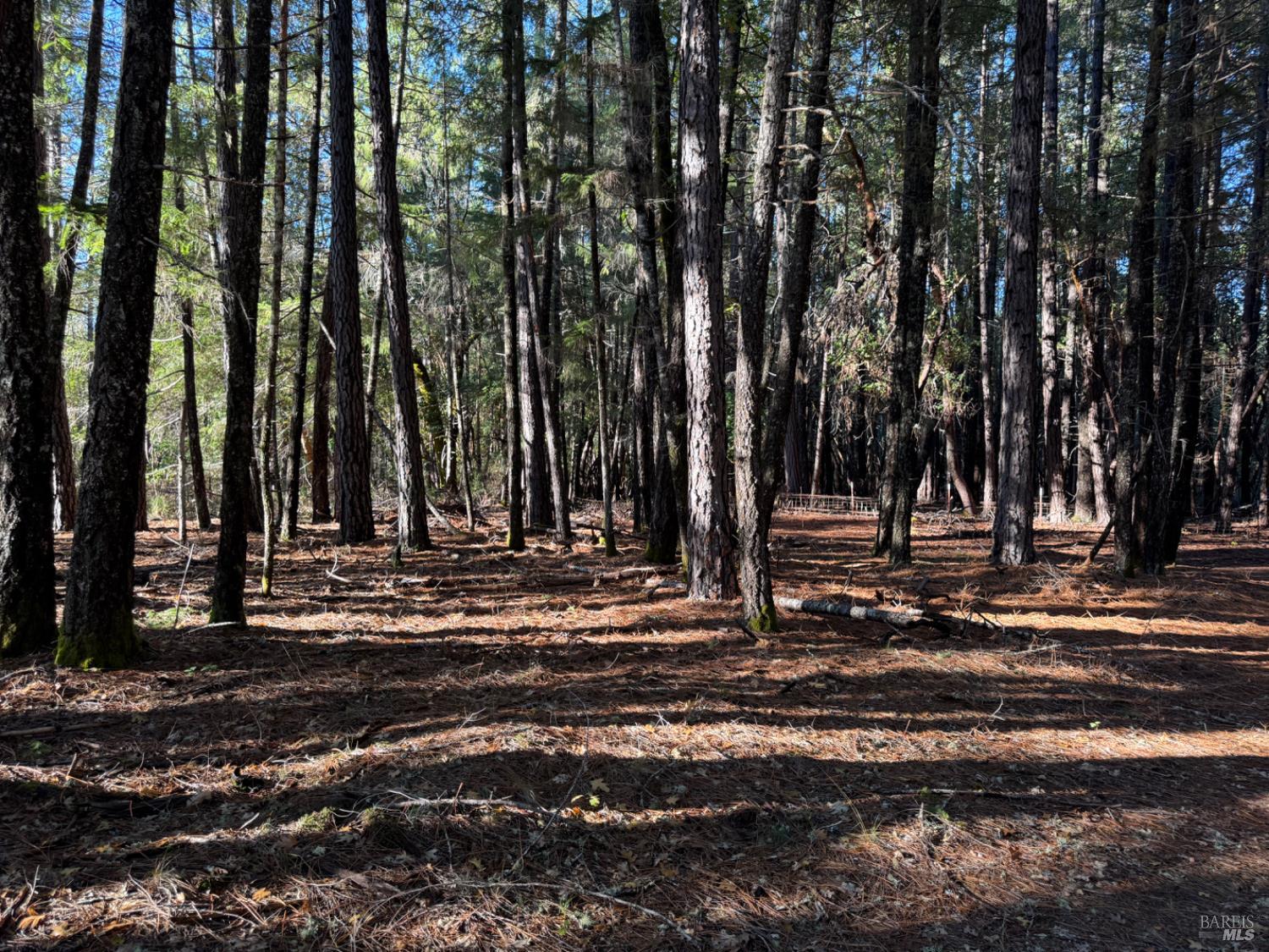 770 Branscomb Road Laytonville, CA 95454 - Photo 33 of 42