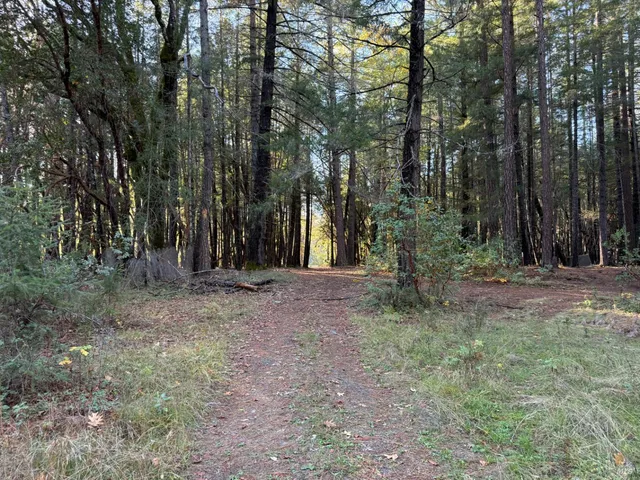 $599,000 | 770 Branscomb Road, Laytonville, CA 95454