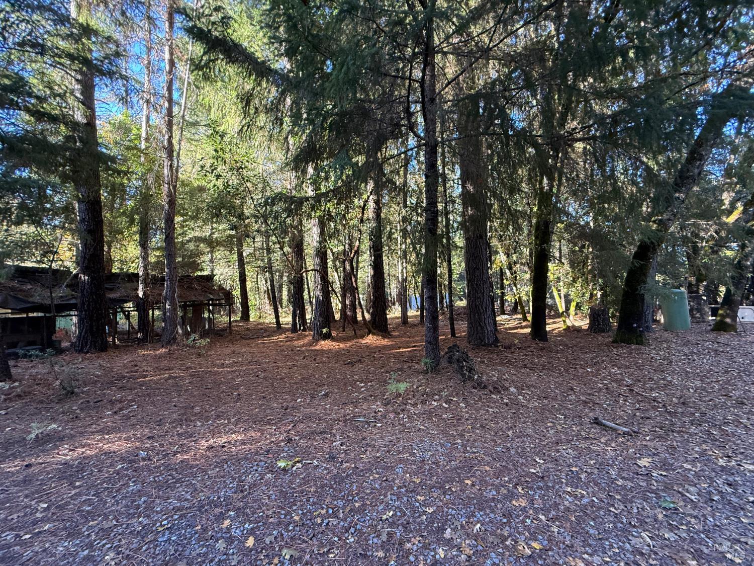 770 Branscomb Road Laytonville, CA 95454 - Photo 41 of 42 a view of outdoor space with lots of trees