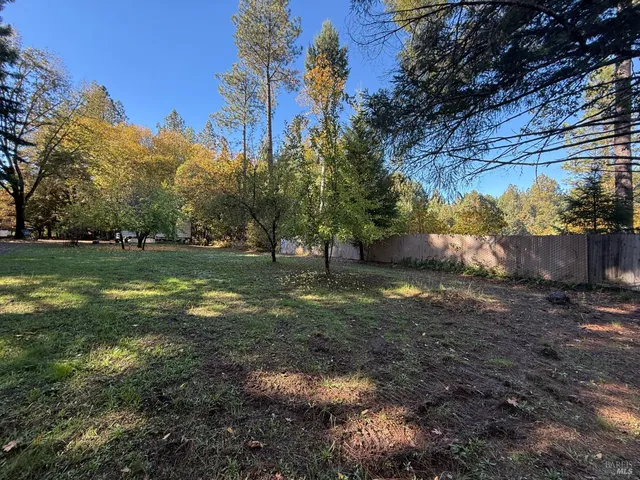 a view of a dry field with trees in the background
