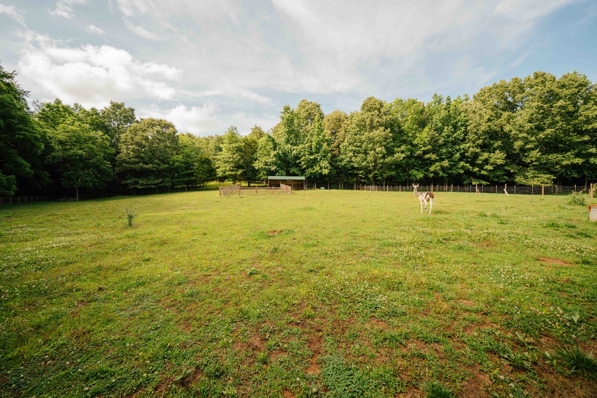 500 Case Road Prospect, TN 38477 - Photo 16 of 50
