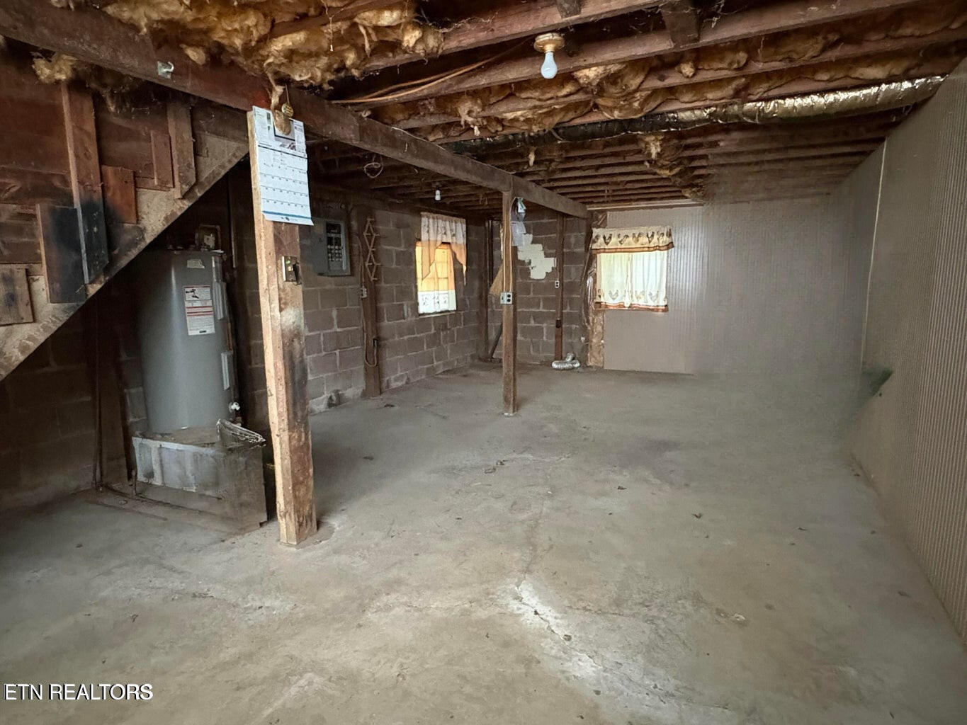 498 West Rhea Avenue Spring City, TN 37381 - Photo 3 of 10 basement