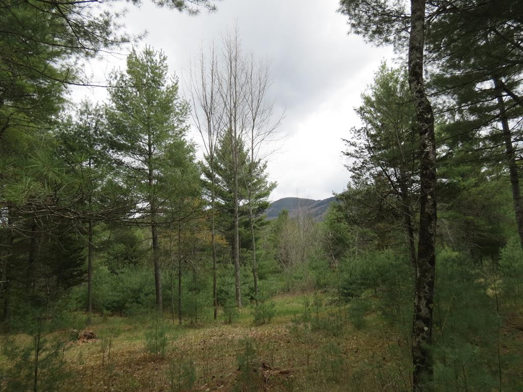 444 Stickney Bridge Road Jay, NY 12941 - Photo 5 of 6 Gallery Image 5