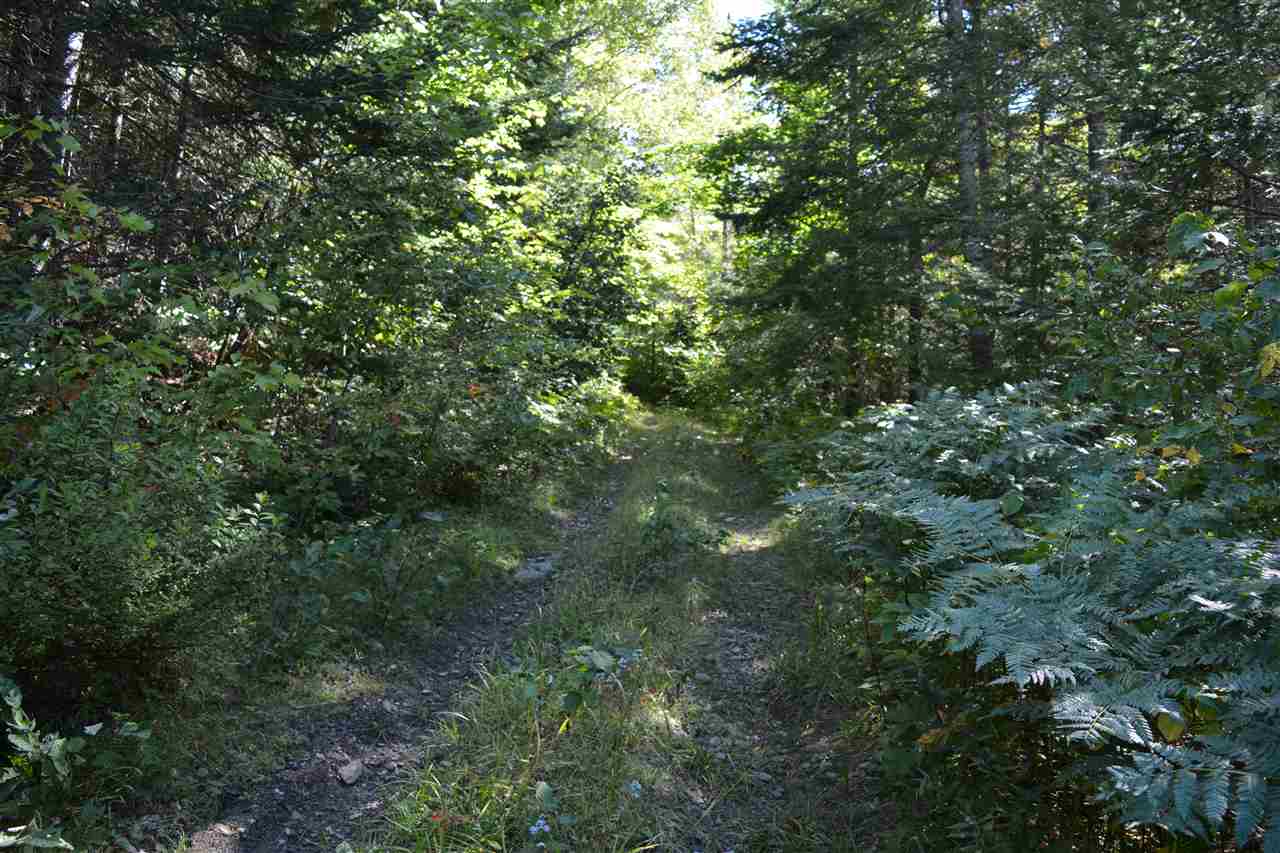 75 Sims Stream Road Colebrook, NH 03576 - Photo 7 of 22
