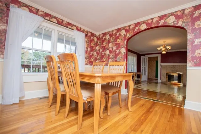 a view of a park with large trees