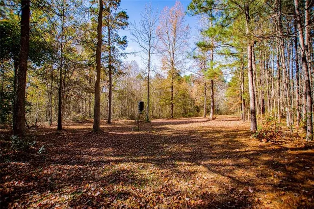 $375,000 | 16 Garrett Avenue, Bremen, GA 30110