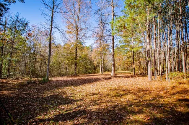 a kitchen that has a lot of cabinets in it and a window