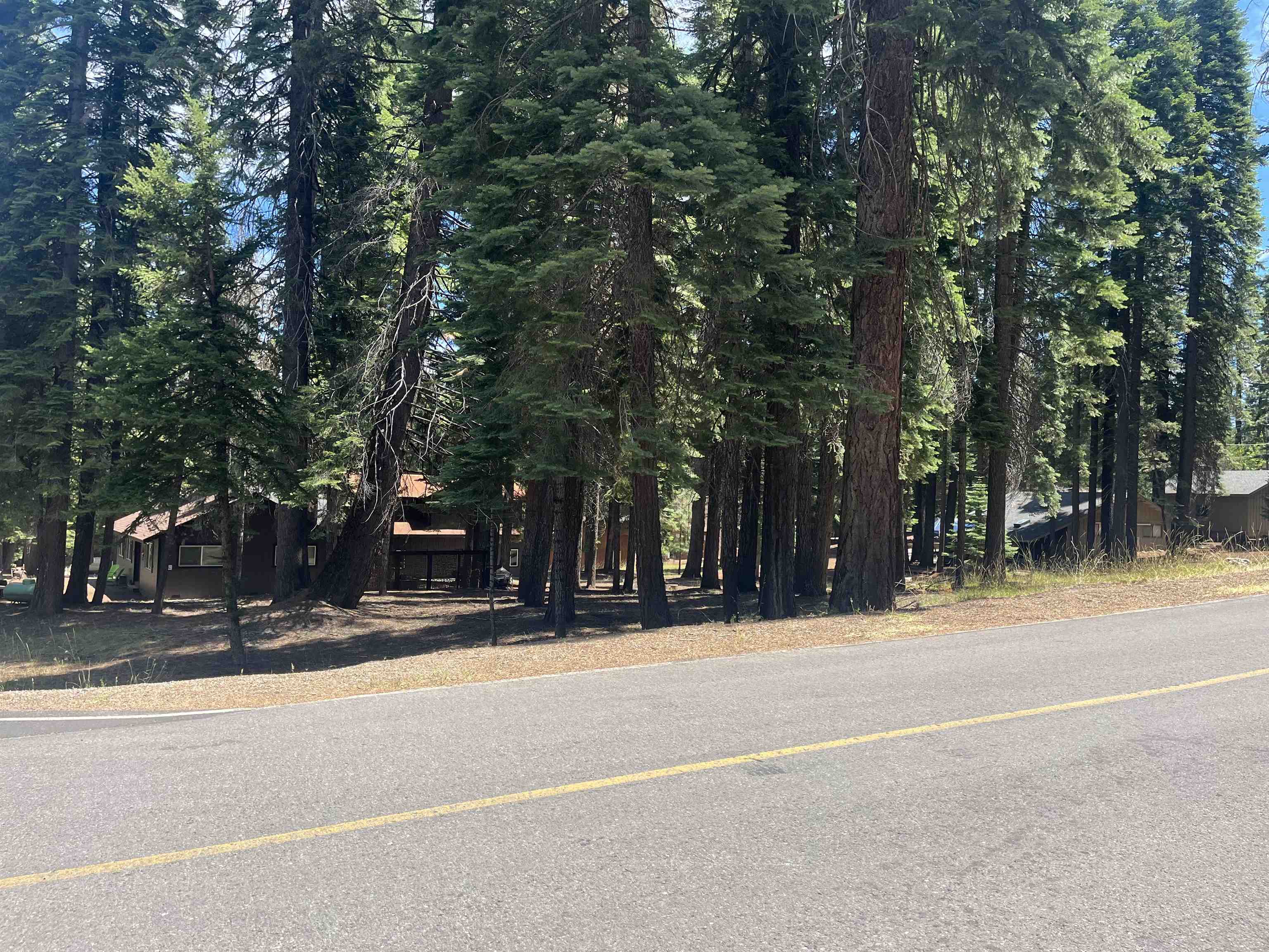 1160 Lake Ridge Road Lake Almanor, CA 96137 - Photo 3 of 9