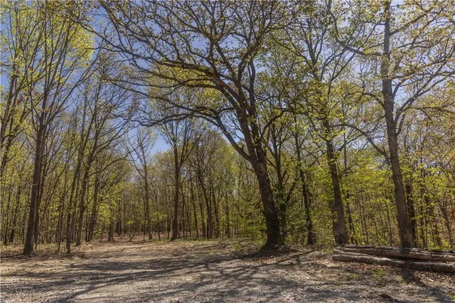 $399,900 | 27064 Hickory Tree Lane, Lincoln, MO 65338