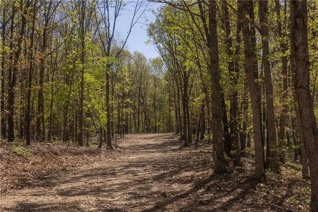 $399,900 | 27064 Hickory Tree Lane, Lincoln, MO 65338