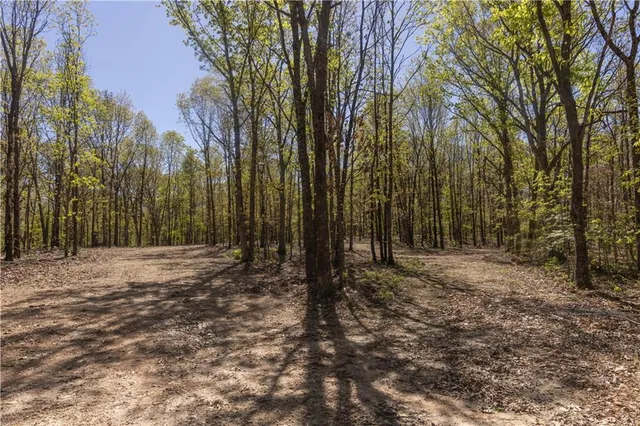 $399,900 | 27064 Hickory Tree Lane, Lincoln, MO 65338