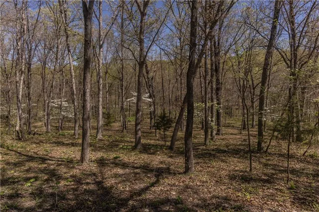 $399,900 | 27064 Hickory Tree Lane, Lincoln, MO 65338