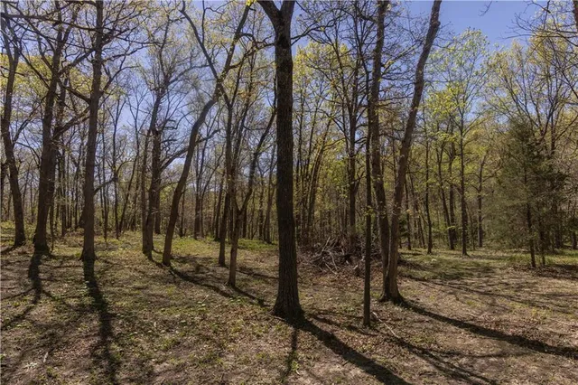 $399,900 | 27064 Hickory Tree Lane, Lincoln, MO 65338