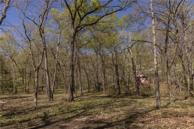 $399,900 | 27064 Hickory Tree Lane, Lincoln, MO 65338