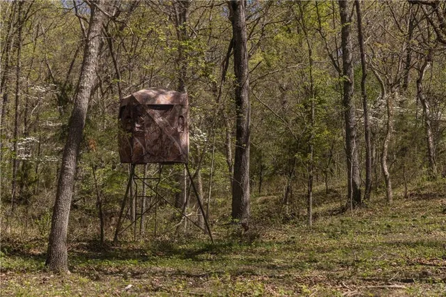 $399,900 | 27064 Hickory Tree Lane, Lincoln, MO 65338