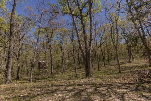 $399,900 | 27064 Hickory Tree Lane, Lincoln, MO 65338