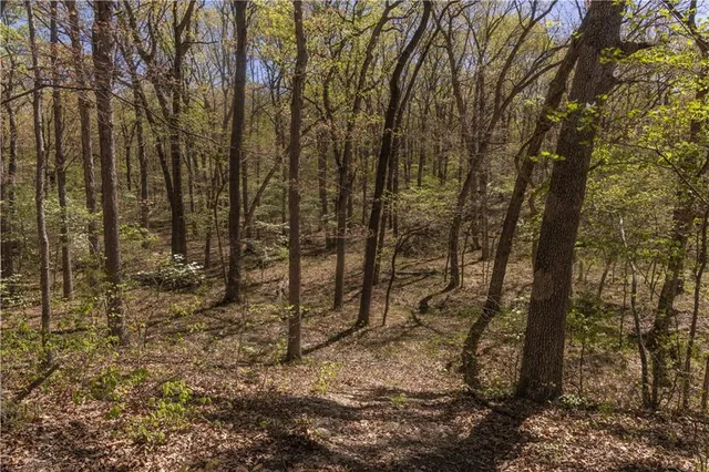 $399,900 | 27064 Hickory Tree Lane, Lincoln, MO 65338